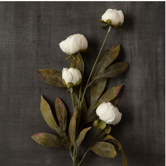 New Set of 5 Ashland by Michael’s 28” Cream Peony Stems - Picture 2 of 4